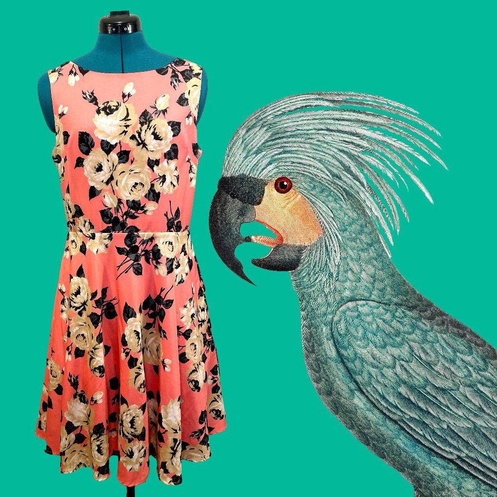 Betsy Johnson Floral Dress